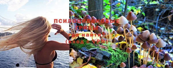 соль курить ск Покачи