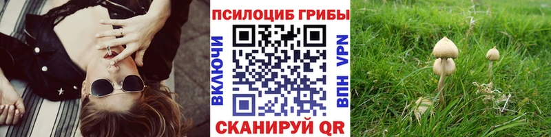 Псилоцибиновые грибы ЛСД  Усть-Илимск 