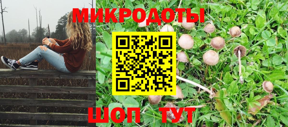 даркнет сайт  Галлюциногенные грибы Psilocybe  Усть-Илимск  Вход с VPN  Галлюциногенные грибы прущие грибы 